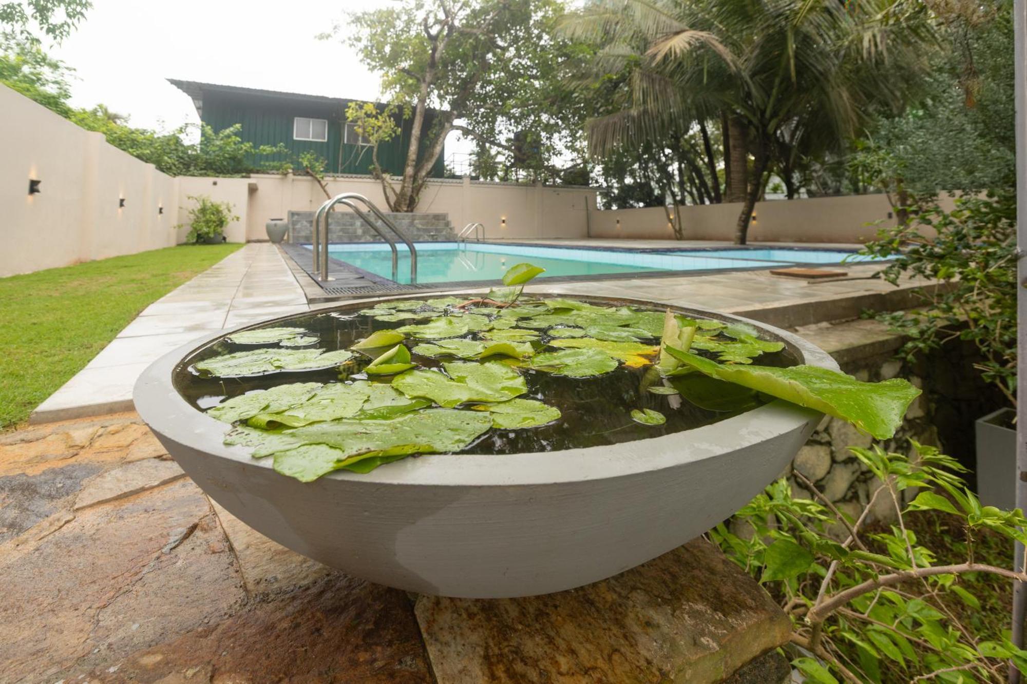 Villa Serenita Weligama Exterior foto
